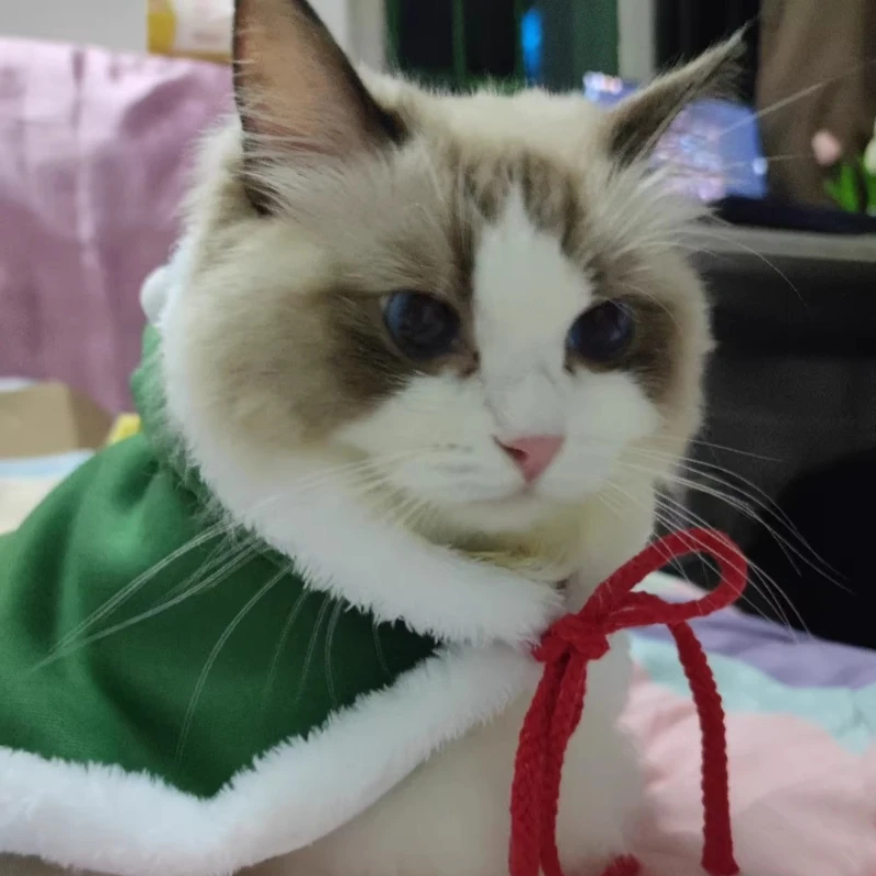 Capas de árbol de Papá Noel para perros, capas navideñas para gatos, capas para mascotas de Papá Noel con sombrero, accesorio divertido para disfraz de mascota - imagen 4