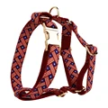 Harness