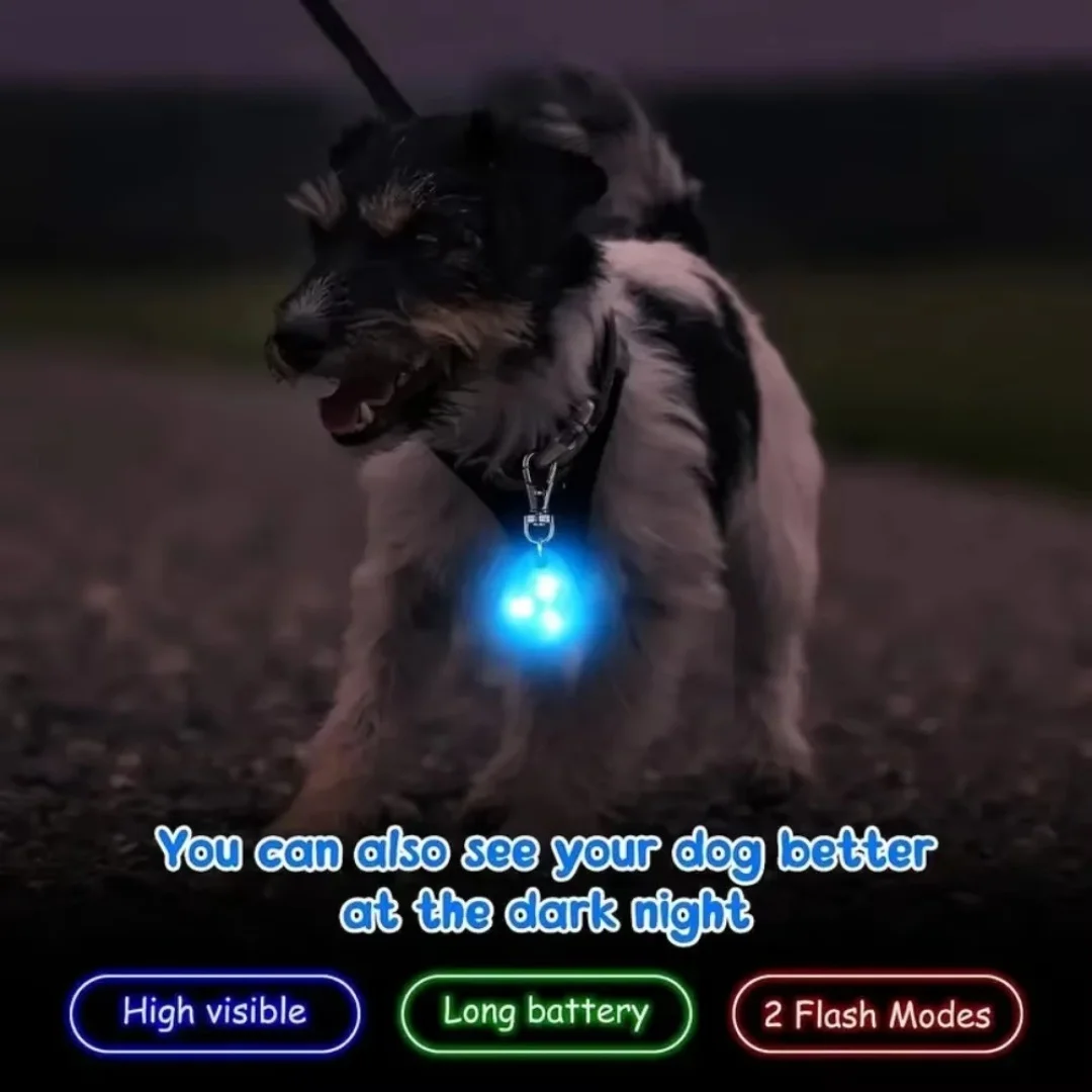 Collar colgante LED para mascotas, Collar impermeable para perro, luz para caminar al aire libre, Collar LED de silicona para seguridad para perros - imagen 2