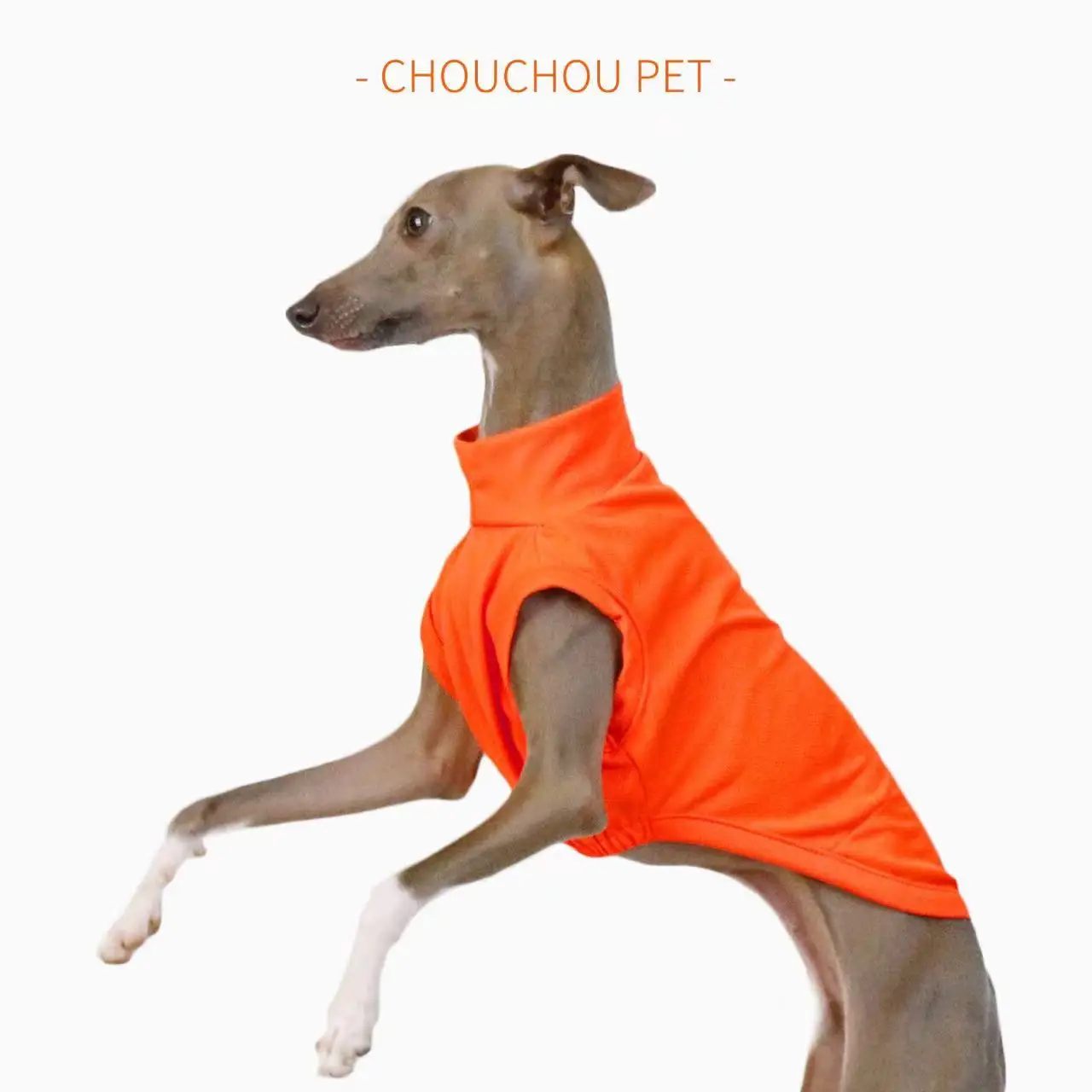 Chaleco transpirable de verano para perros, protección solar para exteriores, ropa para mascotas, ropa fresca y cómoda para perros pequeños y medianos Iggy Whippet - imagen 4