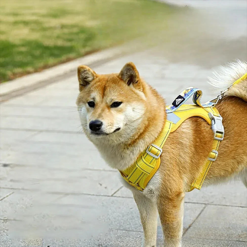 Arnés ligero y transpirable para perros, correa ajustable para el pecho para mascotas, entrenamiento para caminar al aire libre, arneses para mascotas para perros pequeños y medianos - imagen 2
