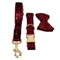 Bow Collar Leash Set
