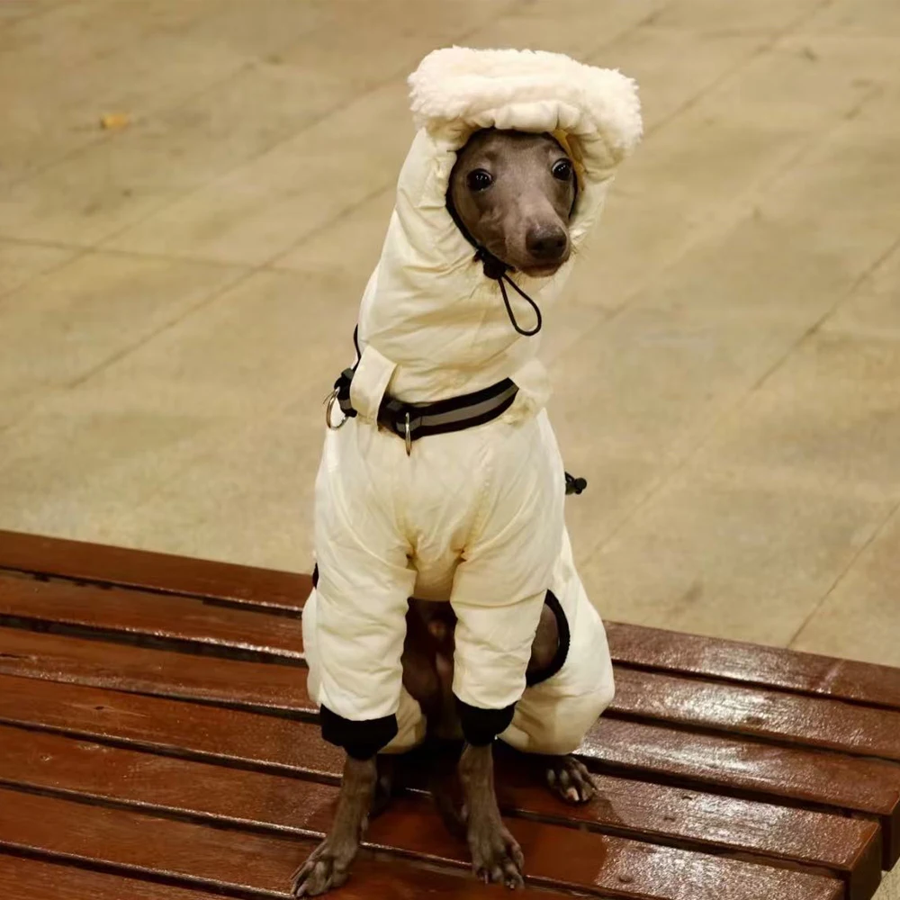 Sudadera de invierno para perros: Galgo Italiano y Whippet mediano - imagen 2