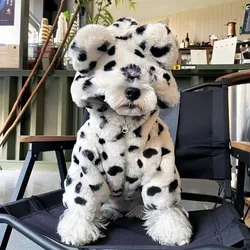Ropa de lujo para perros: abrigos, disfraces y accesorios premium