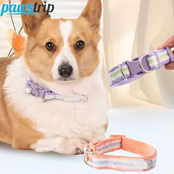 Collares ajustables para perros - duraderos para todas las tallas