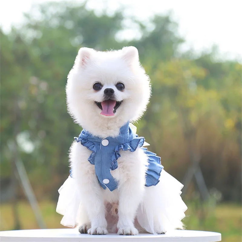 Ropa de verano para cachorros, vestidos vaqueros para mascotas para perros pequeños, Pomerania, Chihuahua, falda para perros y gatitos, vestido de princesa, ropa rosa para niñas - imagen 2