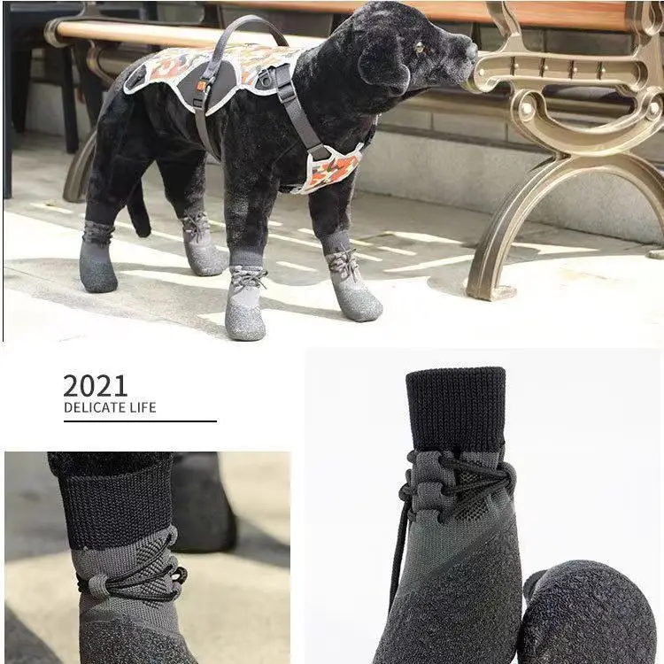 Sistema de ajuste de los zapatos para perros