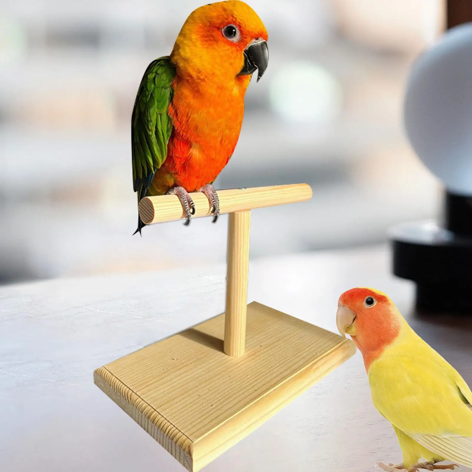 Bird Training Stand Stable Bird Perch Stand for Parakeets Parrots Lovebirds