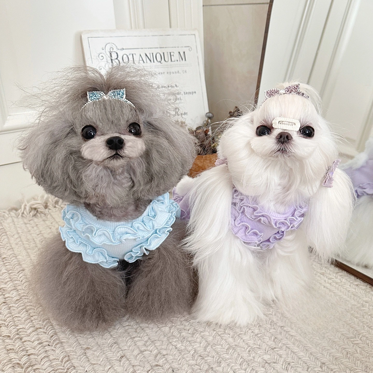 Chaleco de conejo de peluche grueso para otoño e invierno, con encaje y bonito abrigo con bola de pelo, ropa para perros pequeños, ropa para cachorros - imagen 3