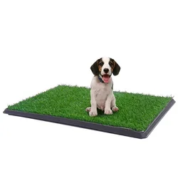 Inodoro de césped para perros lavable con control de olores