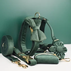 Pack collar, arnés y correa de terciopelo para perro