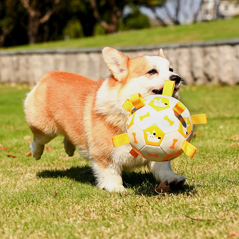 Pelota de fútbol para perro, juguete interactivo resistente a las mordeduras, para exteriores, novedad - imagen 3