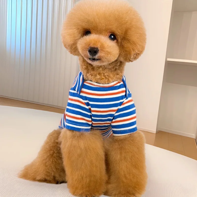 Ropa a rayas para mascotas para perros York, camiseta de algodón suave transpirable para gatitos, monos, sudaderas con parte inferior para cachorros de ocio al aire libre - imagen 2