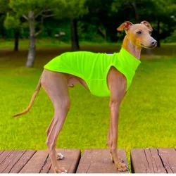 Chaleco transpirable galgo italiano Bulldog Francés cachorro ligero
