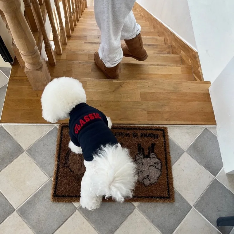 Abrigo de invierno para perros, ropa cálida para perros, sudaderas con capucha para cachorros, Chihuahua, Bulldog Francés, Bichon, Pug, ropa con letras sólidas, sudadera cálida para perros - imagen 4