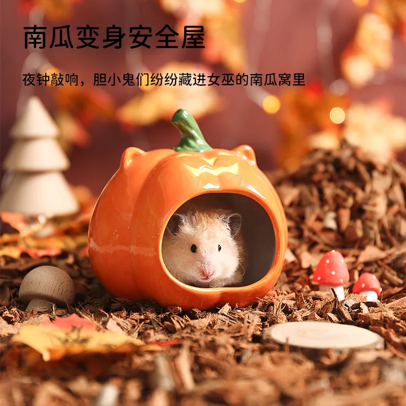 Nido cerámico en calabaza para hámsteres y roedores pequeños - imagen 4