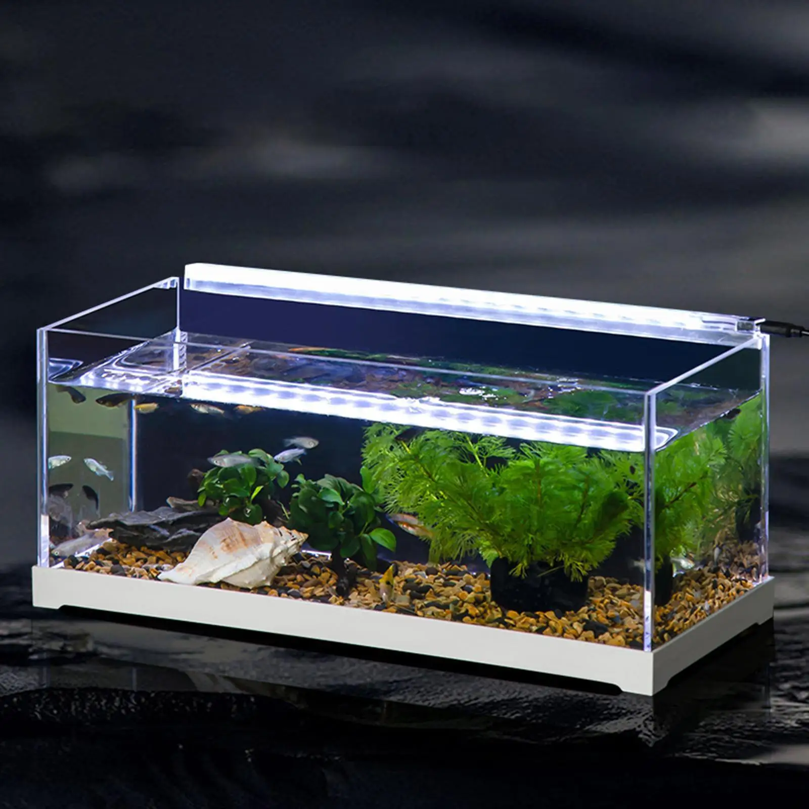 Fish Tank Corner Guards Decoration Fish Tank Accessories for Aquariums