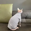 4-leg Light Blue