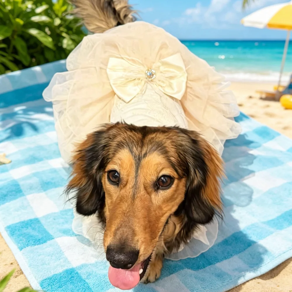 Vestido de verano para perro salchicha con encaje y lazo princesa - imagen 2