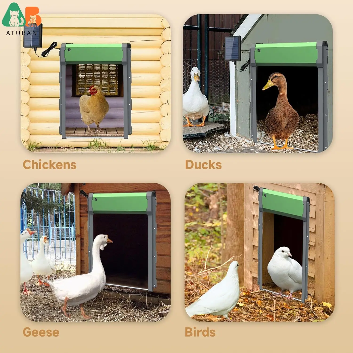 Puerta automática para gallinero, alimentada por energía Solar/USB, temporizador automático para gallinero y Sensor de luz, Control remoto para puerta de gallinero de aluminio duradero - imagen 5