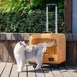 Transportín portátil para gatos y cachorros – Cómodo para viajes