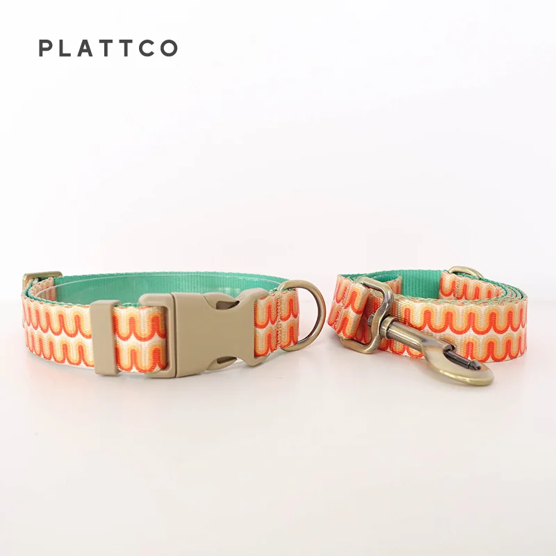 Dog Collar Leash Set