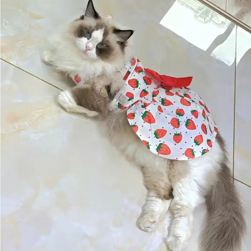 Vestido floral para gatos Sphynx y perros Chihuahua - imagen 4