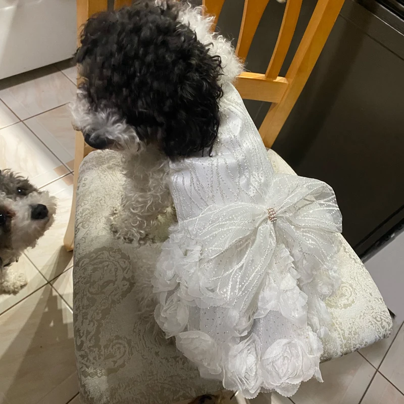 Vestido para perros pequeños, fiesta de graduación, vestidos de Boda de Princesa, diseño de lujo, ropa para perros y niñas, traje para cachorros y gatos de Pomerania - imagen 2