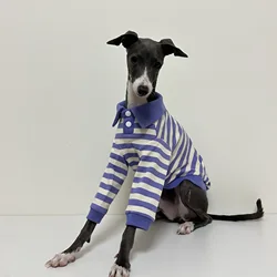 Polo de algodón rayado para Galgo Italiano – Cálido para otoño e invierno