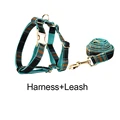 Harness   leash