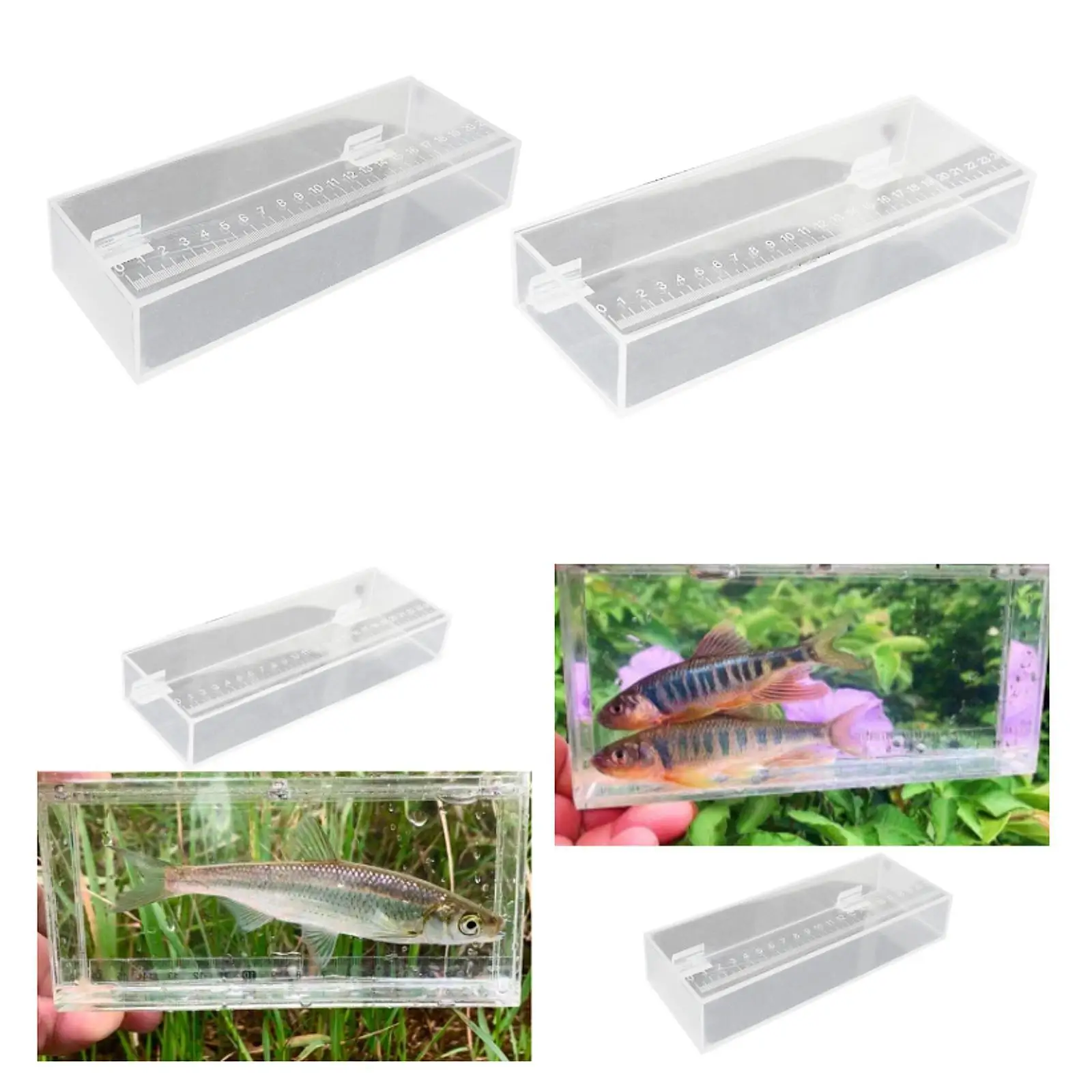 Fish Viewing Box Fish Isolation Breeder Box Acrylic Aquarium Storage Box Hatching Fish Breeder Fishing Photo Tank