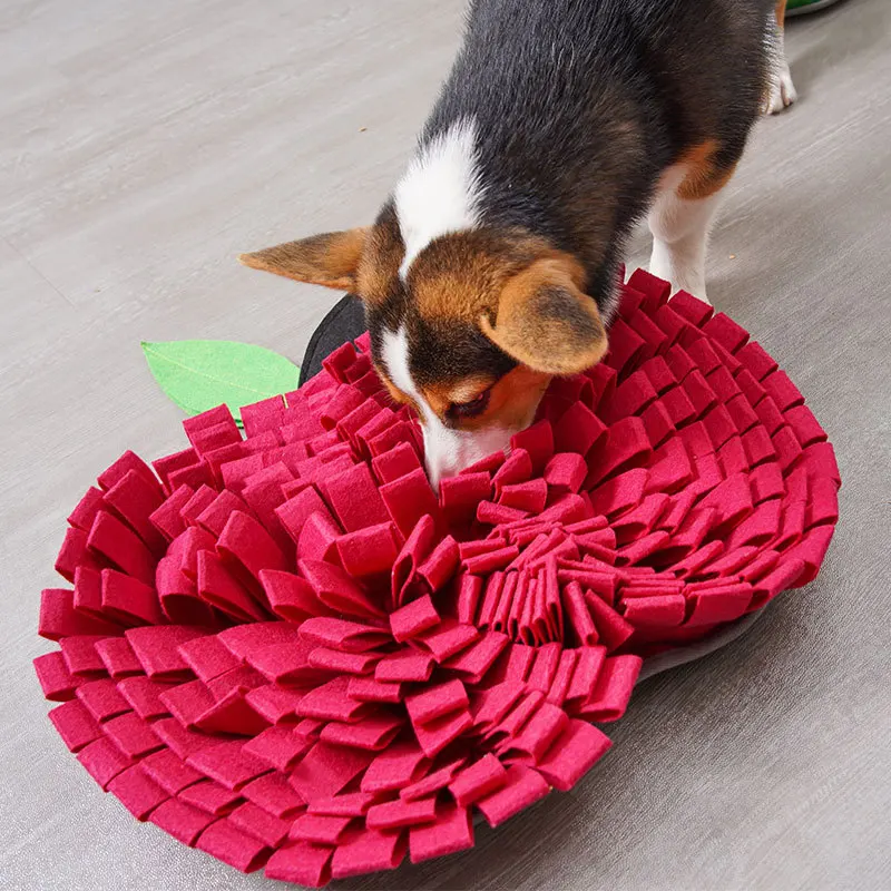 Alfombra olfativa para perros con dispensador de comida - rompecabezas - imagen 2