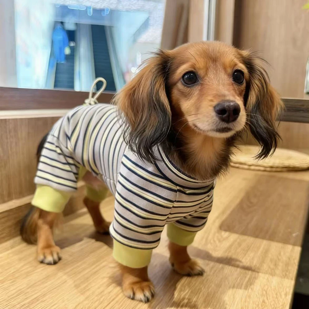 Abrigo algodón a rayas para perros salchicha y tejón – Primavera otoño - imagen 2