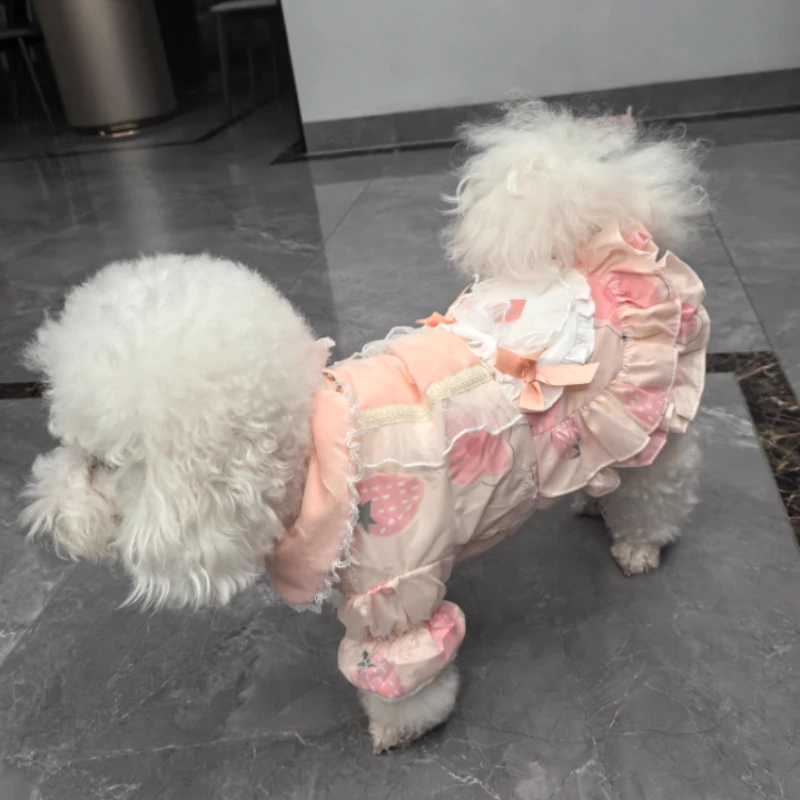 Ropa para perros Otoño e Invierno vestido de princesa para gatos polar grueso dulce Lolita suministros para mascotas para perros pequeños - imagen 5