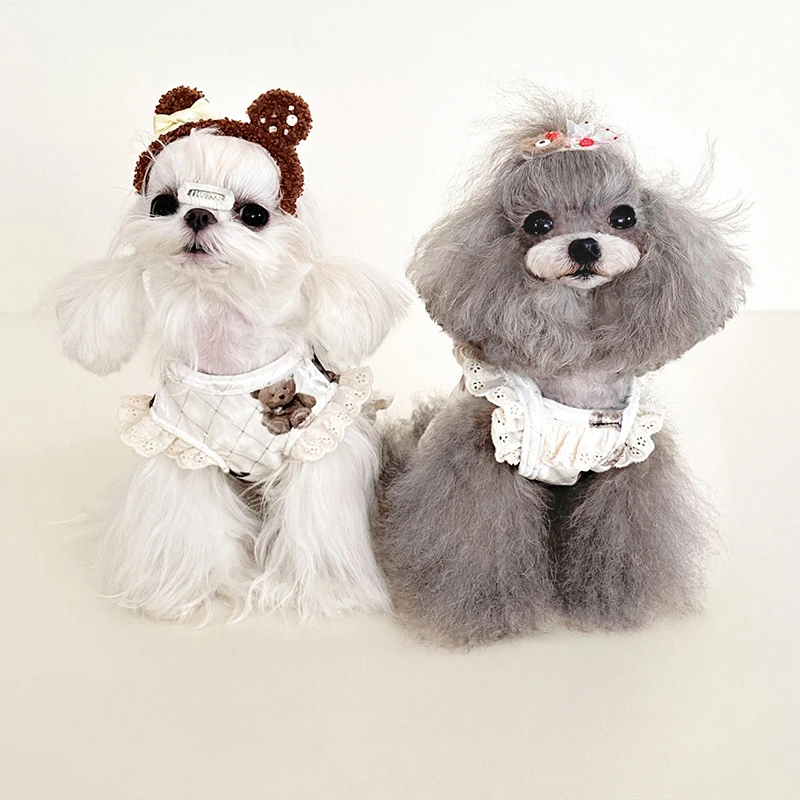 Chaleco de encaje de oso de peluche para mascotas, bonito vestido, pijamas para perros y gatos, encaje de terciopelo dorado para otoño e invierno, chaleco de terciopelo para el hogar, falda de manga voladora - imagen 2