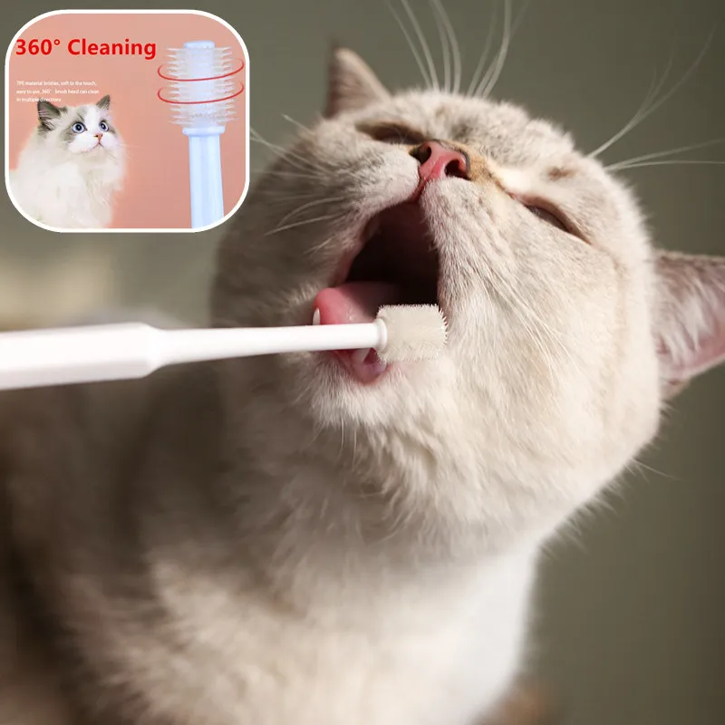 Cepillo de dientes para gatos con cepillo de pelo suave para limpieza bucal
