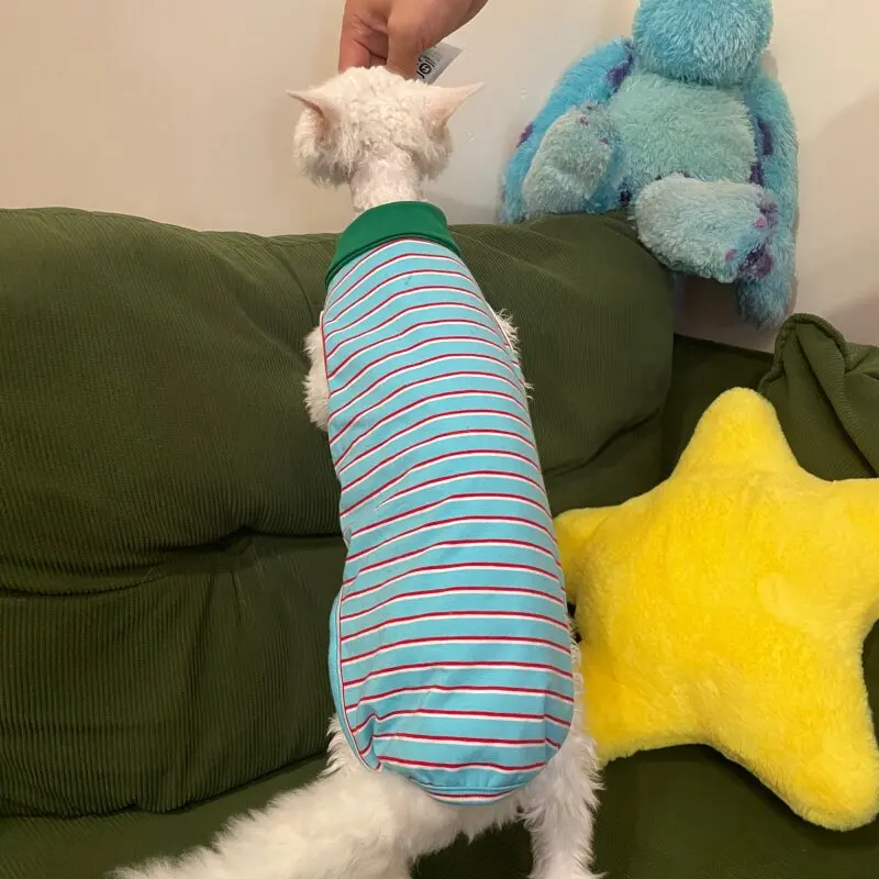 Mono azul para gatos Sphynx y Devon Rex – Abrigo cómodo - imagen 3