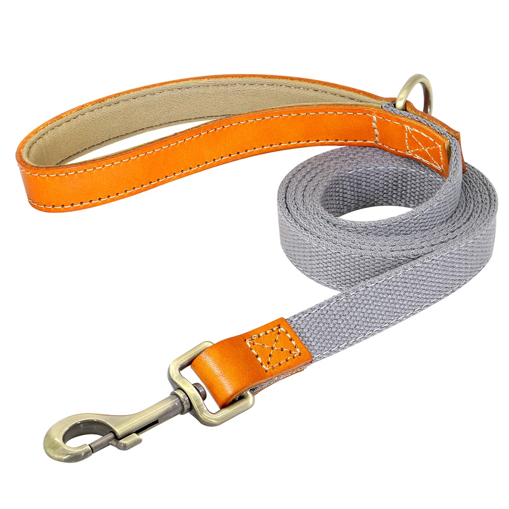 Gray Leash