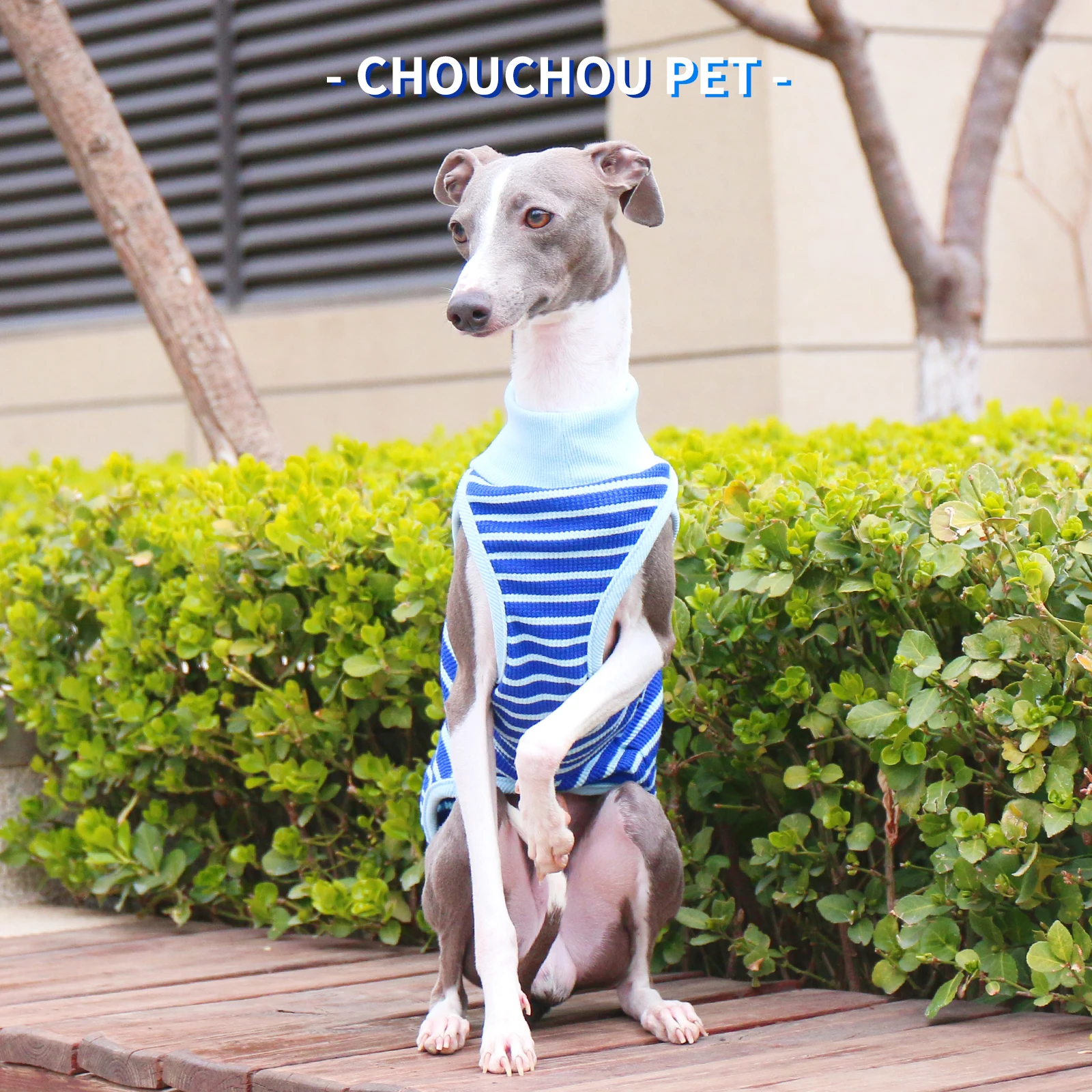 Galgo italiano - Camiseta sin mangas a rayas verde azulado Whippet Sighthound Chaleco de verano para perros