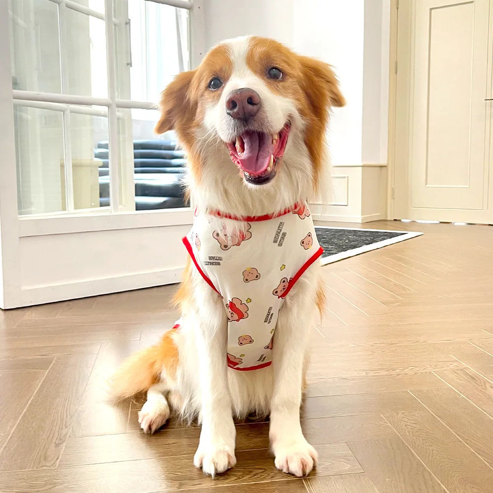 Ropa para perros grandes, chaleco de verano de malla transpirable para perros, ropa de protección solar para perros pequeños, medianos y grandes, XS-8XL de tela para mascotas - imagen 3