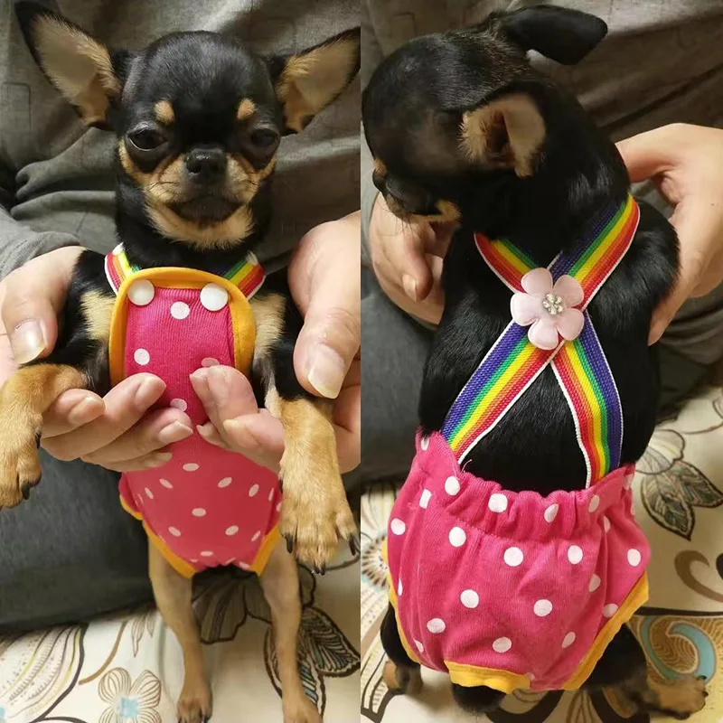 Pantalones cortos con estampado de puntos para perro y mujer, calzoncillos para mascotas, ropa para cachorros de Yorkshire, Chihuahua, ropa interior femenina para adultos, perros pequeños - imagen 5