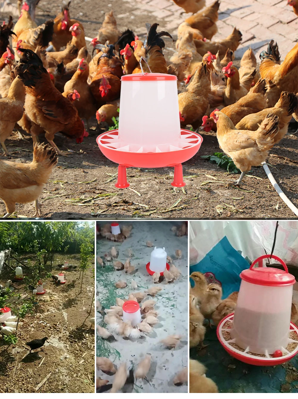 Cubo alimentador rojo para pollo y pato, 1,5 kg/3L, con pierna, fuente de comida para aves de corral, pollo, gallina, tapa, mango, suministros de riego, 1 ud. - imagen 4