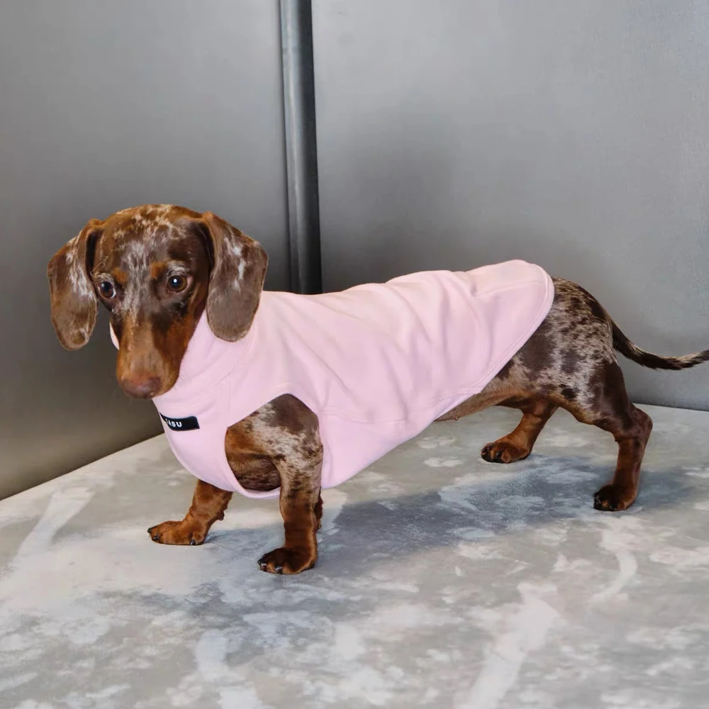 Chaleco de algodón cómodo para perros salchicha – entretiempo - imagen 4