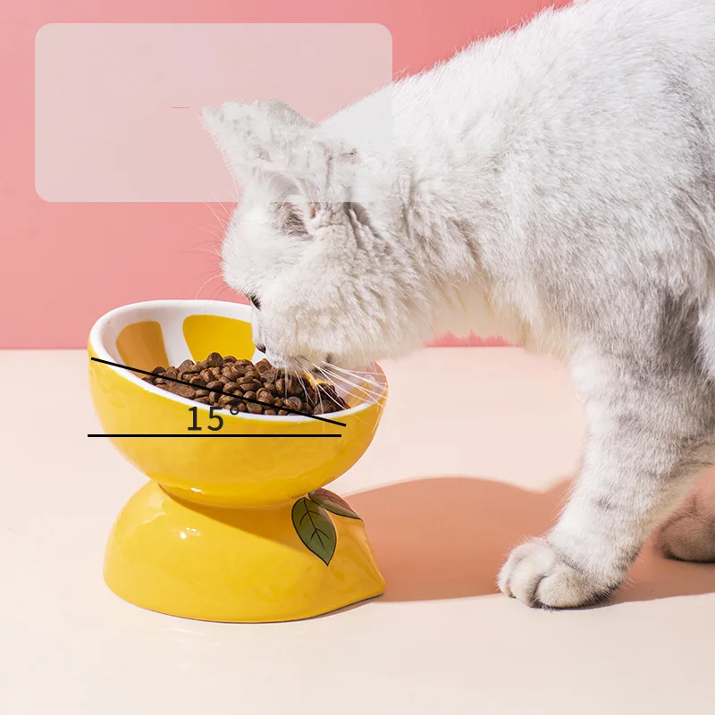 Cuencos de cerámica para perros y gatos, alimentador con patrón de dibujos animados de frutas, protección antideslizante de la columna Cervical, bebida de agua y tazón para comer, 1 Uds. - imagen 5