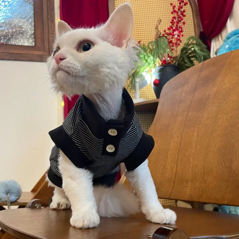 Jersey de algodón para Sphynx y perro mini – Ropa primavera