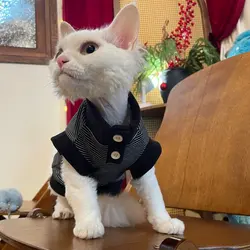 Jersey de algodón para Sphynx y perro mini – Ropa primavera