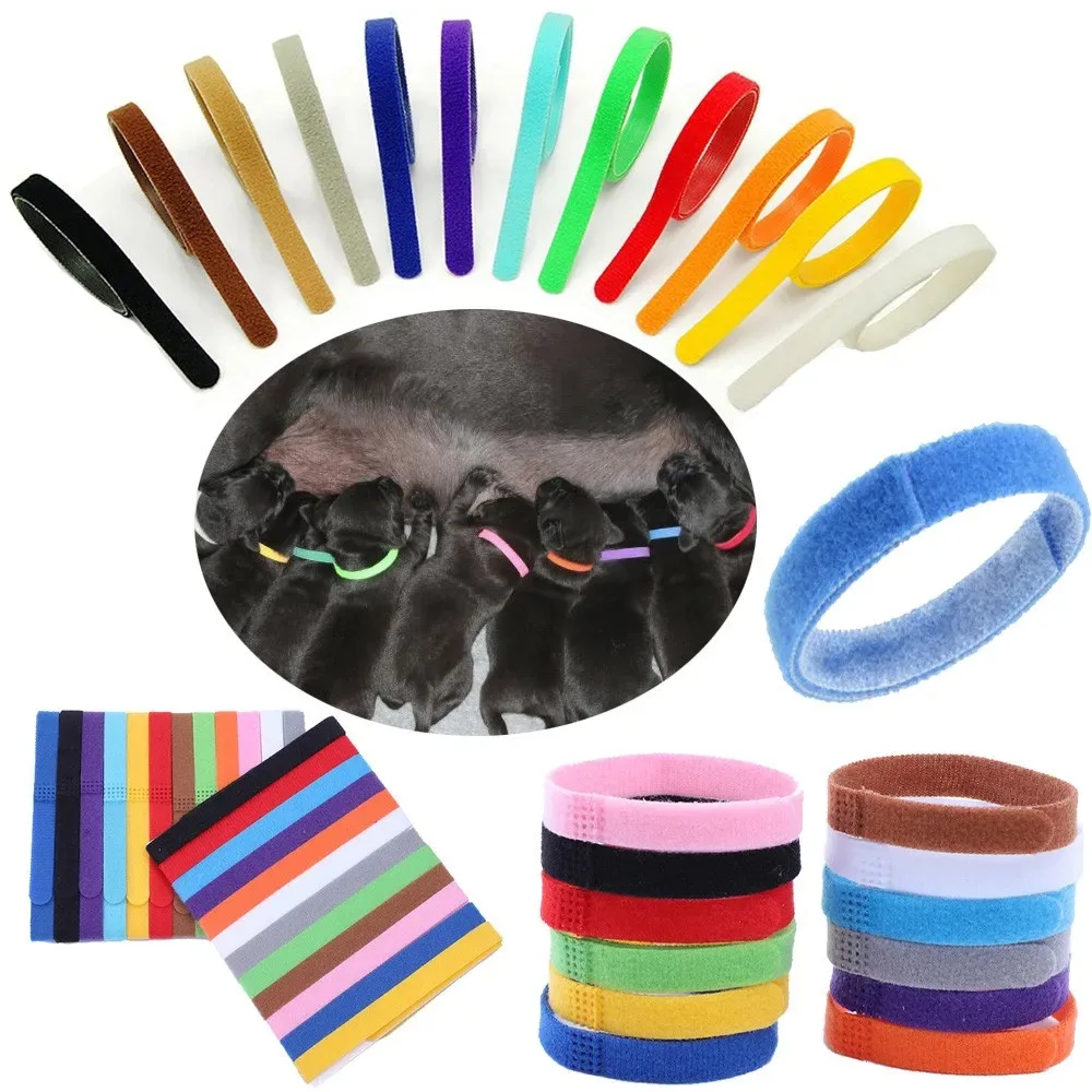 12 Uds. Collares para mascotas, Collar de identificación con gancho y bucle para perros y gatos, clasificación de identificación para cachorros y gatitos, accesorios para perros pequeños
