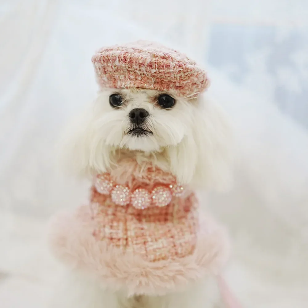 Ropa clásica de invierno para perros, arnés para perros, traje para niñas, capa fragante, princesa, cachorro, gatos, tracción en el pecho y la espalda para perros pequeños - imagen 2