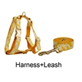 Harness   leash