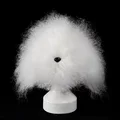 Head hair  white